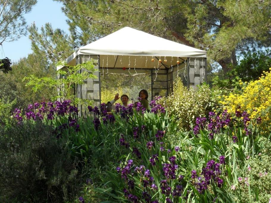 لامبيسك L'Oliveraie En Provence المظهر الخارجي الصورة